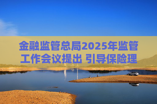 金融监管总局2025年监管工作会议提出 引导保险理财资金支持资本市场平稳健康发展