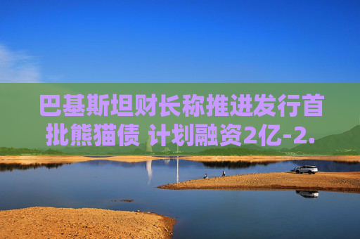 巴基斯坦财长称推进发行首批熊猫债 计划融资2亿-2.5亿美元