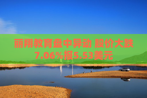 丽翔教育盘中异动 股价大跌7.06%报5.53美元