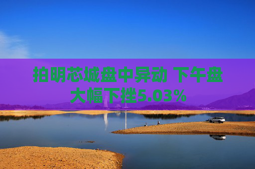 拍明芯城盘中异动 下午盘大幅下挫5.03%