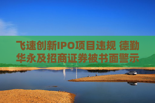 飞速创新IPO项目违规 德勤华永及招商证券被书面警示