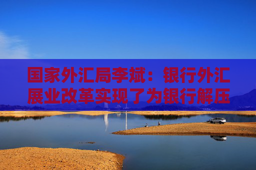 国家外汇局李斌：银行外汇展业改革实现了为银行解压 为企业减负的目标