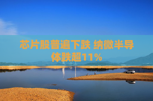 芯片股普遍下跌 纳微半导体跌超11%