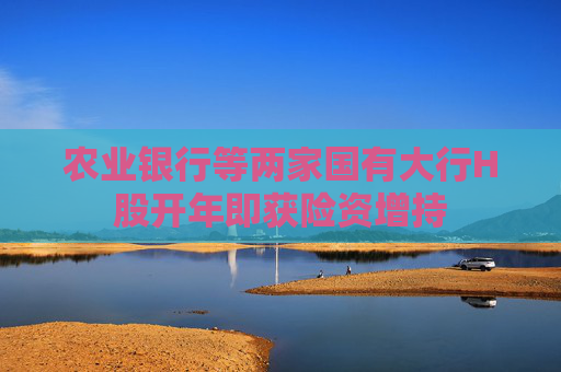 农业银行等两家国有大行H股开年即获险资增持