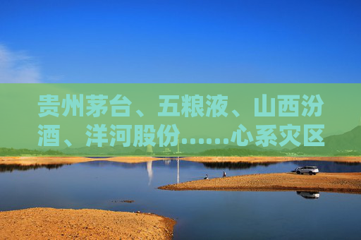 贵州茅台、五粮液、山西汾酒、洋河股份……心系灾区，白酒企业捐资驰援