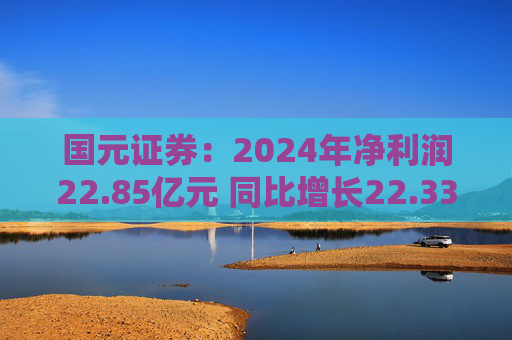 国元证券：2024年净利润22.85亿元 同比增长22.33%