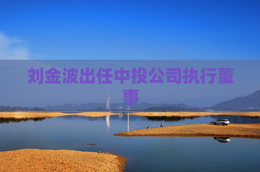 刘金波出任中投公司执行董事