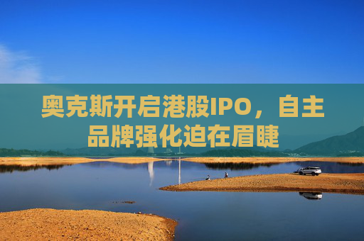 奥克斯开启港股IPO，自主品牌强化迫在眉睫