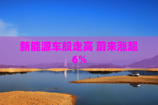 新能源车股走高 蔚来涨超6%