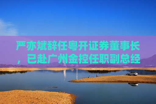 严亦斌辞任粤开证券董事长，已赴广州金控任职副总经理