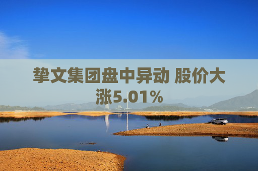挚文集团盘中异动 股价大涨5.01%