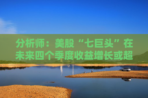 分析师：美股“七巨头”在未来四个季度收益增长或超过17%