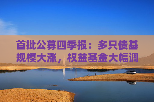 首批公募四季报：多只债基规模大涨，权益基金大幅调仓