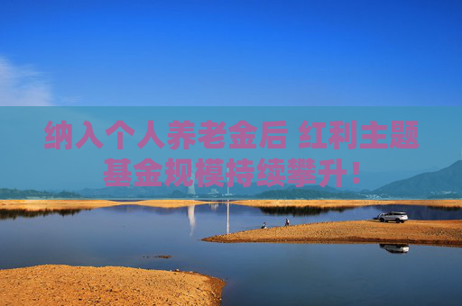 纳入个人养老金后 红利主题基金规模持续攀升！