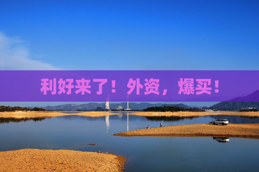 利好来了！外资，爆买！