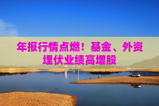年报行情点燃！基金、外资埋伏业绩高增股