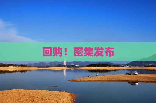 回购！密集发布