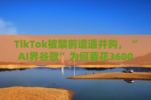 TikTok被禁前遭遇并购，“AI界谷歌”为何要花3600亿买它？