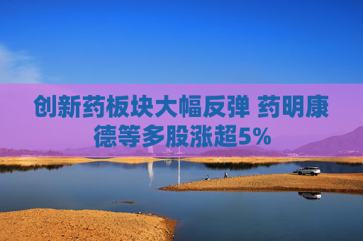 创新药板块大幅反弹 药明康德等多股涨超5%