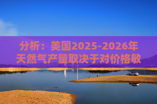 分析：美国2025-2026年天然气产量取决于对价格敏感的盆地