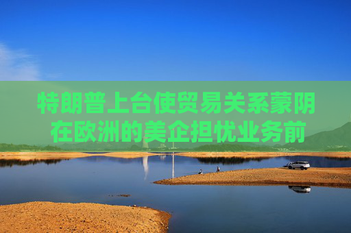 特朗普上台使贸易关系蒙阴 在欧洲的美企担忧业务前景
