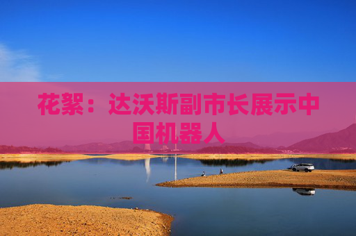 花絮：达沃斯副市长展示中国机器人
