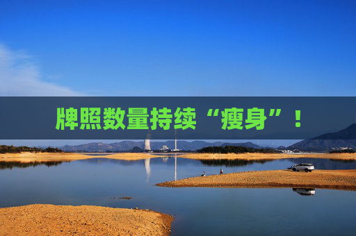 牌照数量持续“瘦身”！