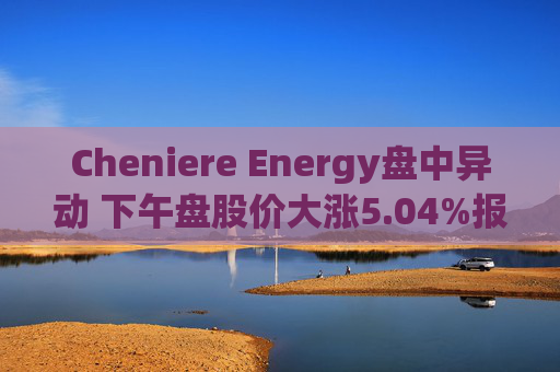 Cheniere Energy盘中异动 下午盘股价大涨5.04%报241.01美元