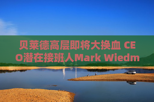 贝莱德高层即将大换血 CEO潜在接班人Mark Wiedman据悉离职