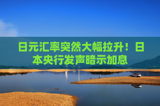 日元汇率突然大幅拉升！日本央行发声暗示加息
