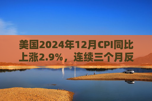 美国2024年12月CPI同比上涨2.9%，连续三个月反弹
