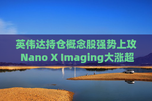 英伟达持仓概念股强势上攻 Nano X Imaging大涨超21%
