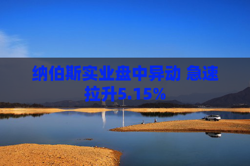 纳伯斯实业盘中异动 急速拉升5.15%
