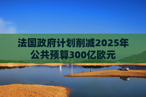 法国政府计划削减2025年公共预算300亿欧元