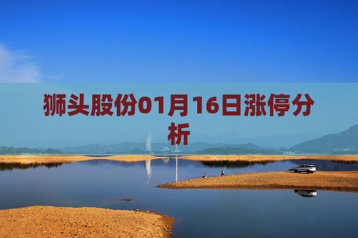 狮头股份01月16日涨停分析