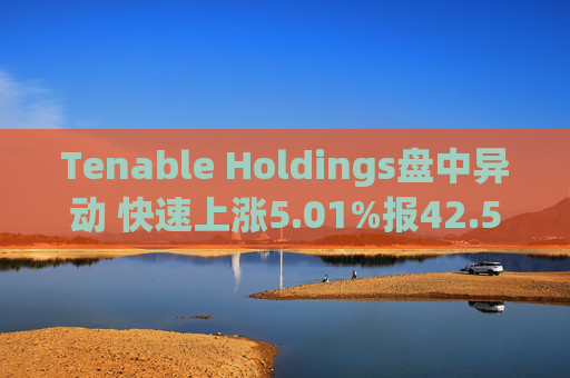 Tenable Holdings盘中异动 快速上涨5.01%报42.55美元