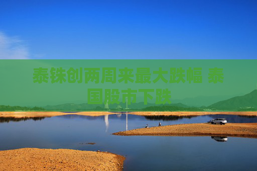 泰铢创两周来最大跌幅 泰国股市下跌