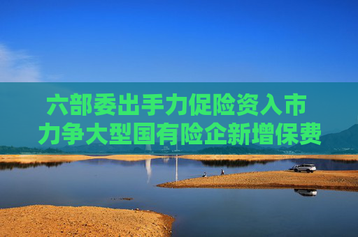 六部委出手力促险资入市 力争大型国有险企新增保费30%投A股