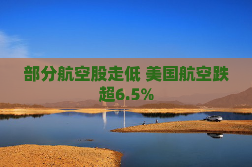 部分航空股走低 美国航空跌超6.5%