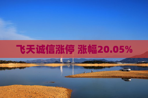 飞天诚信涨停 涨幅20.05%