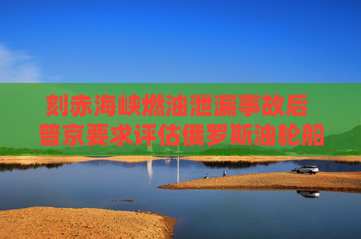 刻赤海峡燃油泄漏事故后 普京要求评估俄罗斯油轮船队状况