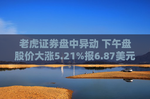 老虎证券盘中异动 下午盘股价大涨5.21%报6.87美元