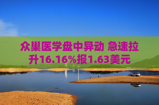 众巢医学盘中异动 急速拉升16.16%报1.63美元