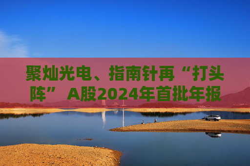 聚灿光电、指南针再“打头阵” A股2024年首批年报亮相