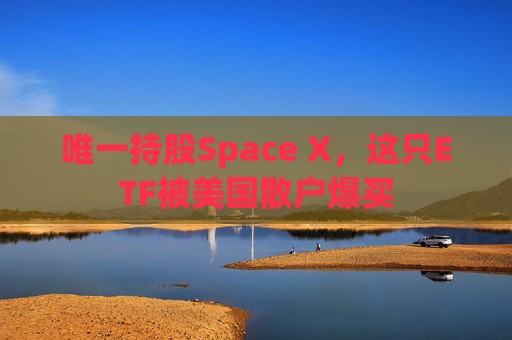 唯一持股Space X，这只ETF被美国散户爆买