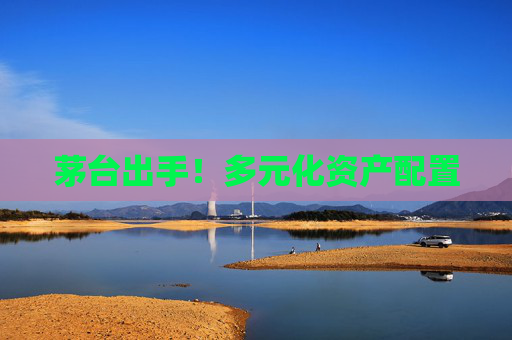 茅台出手！多元化资产配置