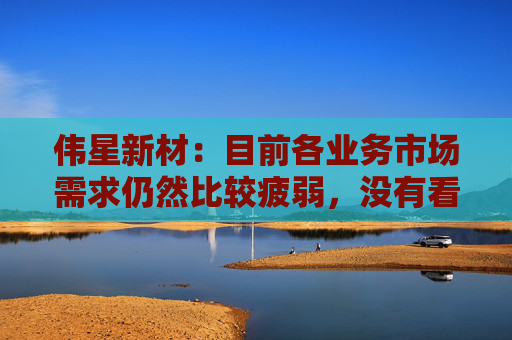 伟星新材：目前各业务市场需求仍然比较疲弱，没有看到明显改善的情况