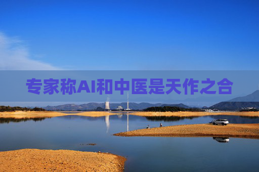 专家称AI和中医是天作之合