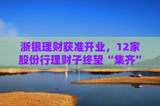 浙银理财获准开业，12家股份行理财子终望“集齐”，十余家城农商行仍在苦等牌照