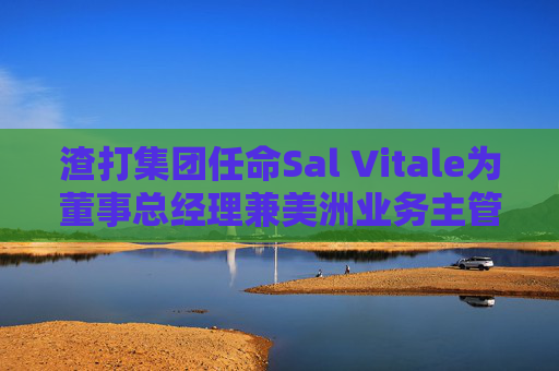 渣打集团任命Sal Vitale为董事总经理兼美洲业务主管